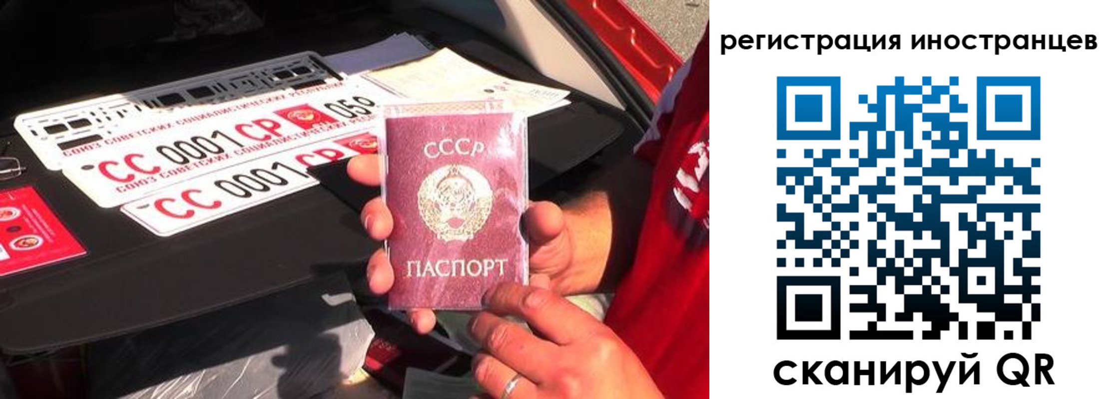 прописка гарантия в Снежногорске